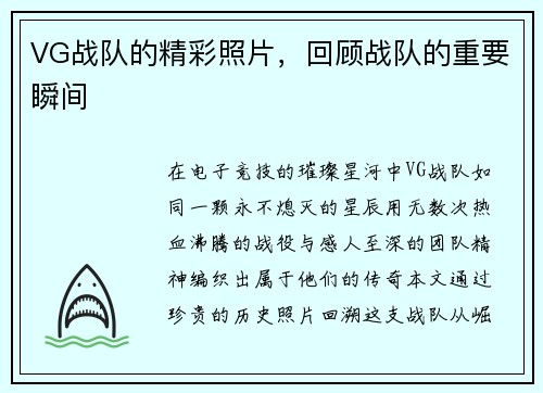 VG战队的精彩照片，回顾战队的重要瞬间