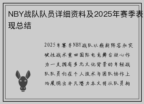 NBY战队队员详细资料及2025年赛季表现总结